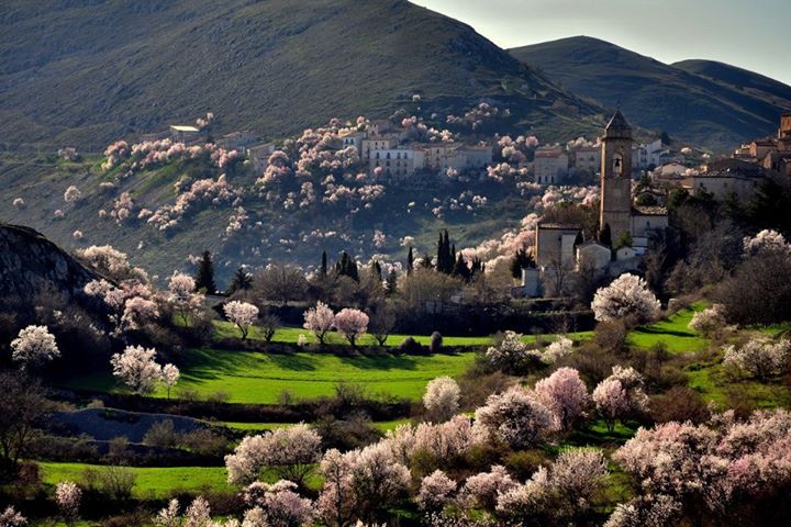 italian-countryside-houses-of-italy-houses-for-sale-in-italy