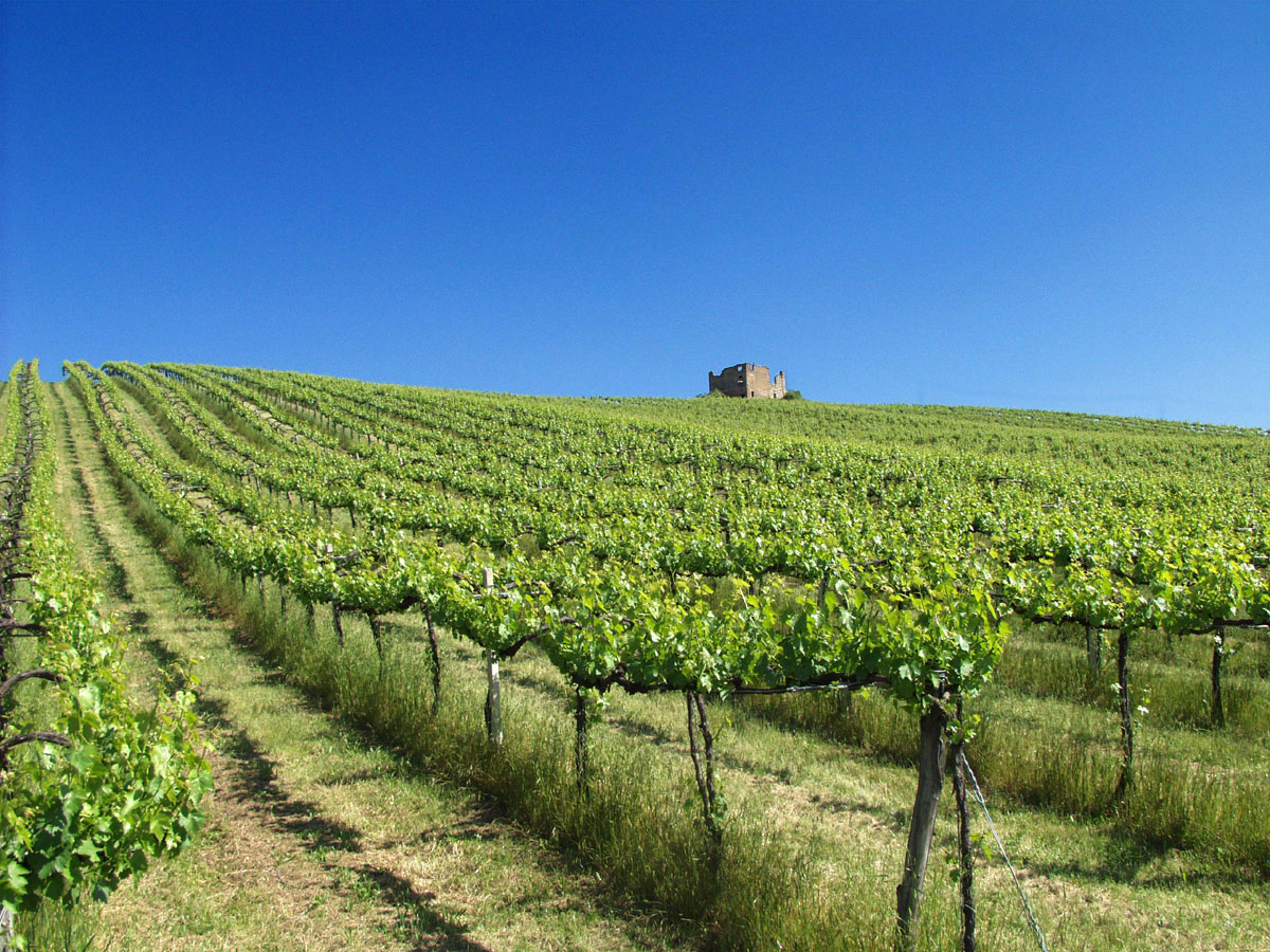 I Houses of Italy Houses for Sale in Italy Property in Italy